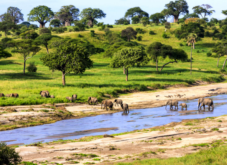 safari tanzanie serengeti