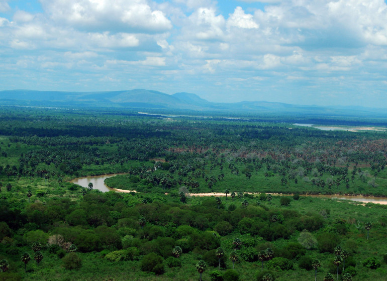 safari tanzanie ruaha