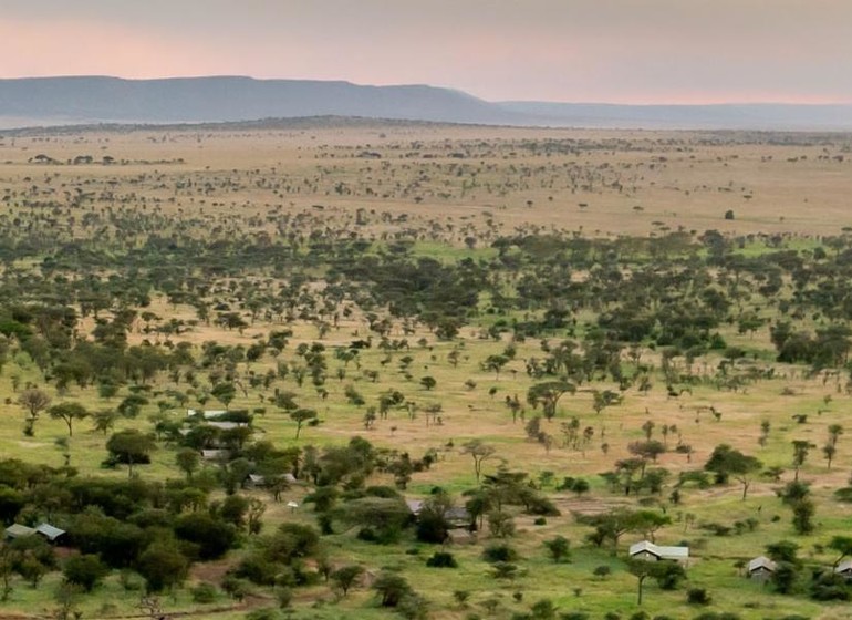 safari tanzanie