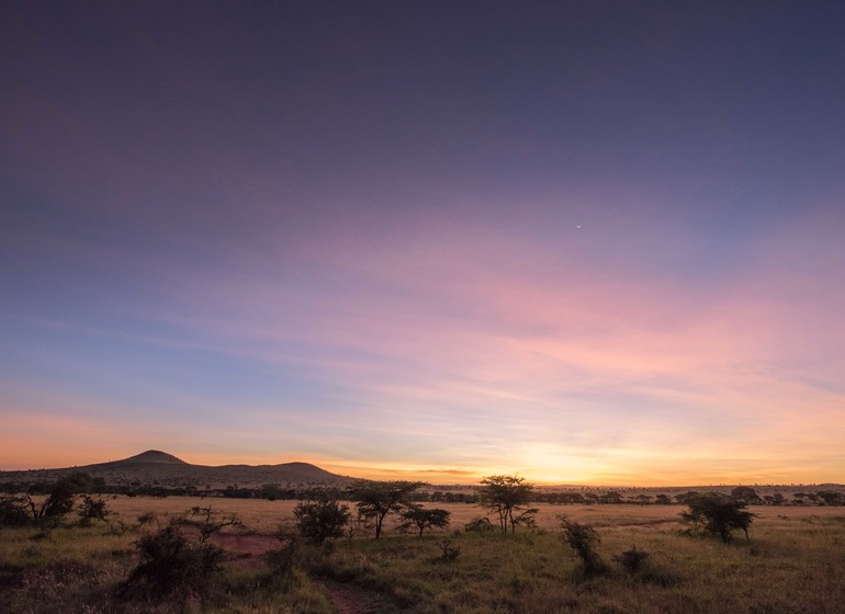 safari tanzanie