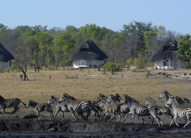 voyage zimbabwe