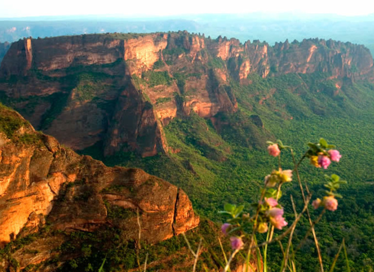 Brésil Voyage Chapada Guiamaraes