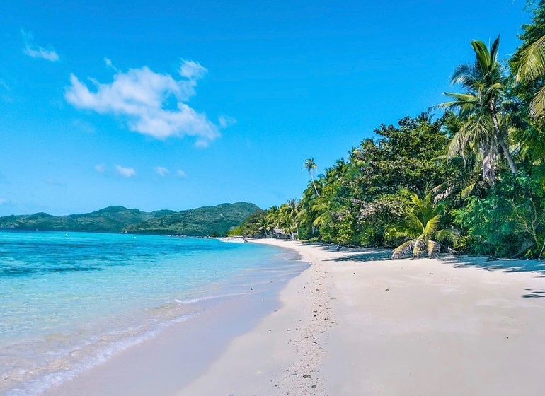 Philippines Asie Flower Island Tay Tay Palawan