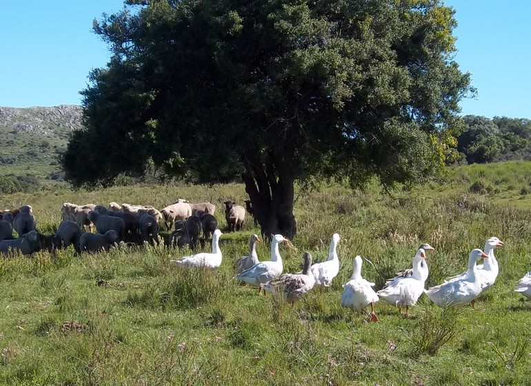 Voyage Uruguay à la campagne