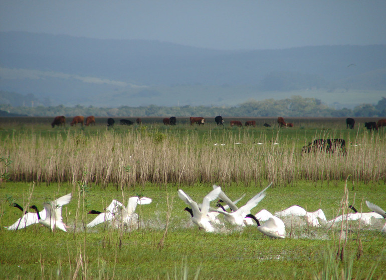 Voyage Uruguay Laguna Rocha