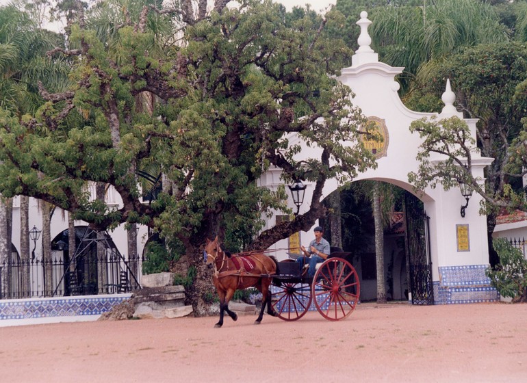 Uruguay Voyage Estancia San Pedro de Timote avec calèche