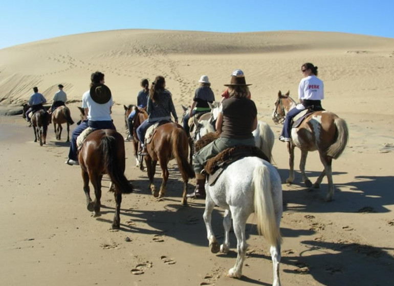 Uruguay Voyage Rocha Valizas excursion équestre dans les dunes