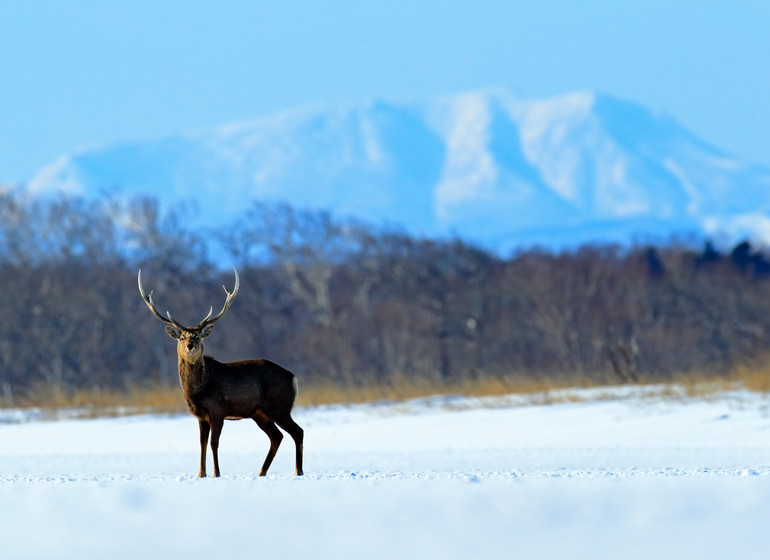 Autotour à Hokkaido