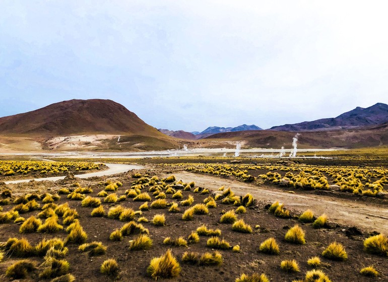 Chili Voyage Atacama Geysers du Tatio