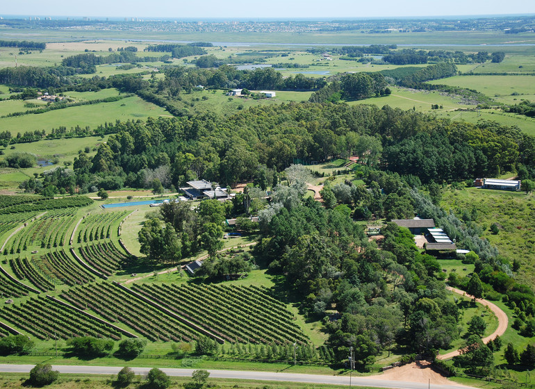 Uruguay Voyage Aguaverde Winelodge vue d'oiseau