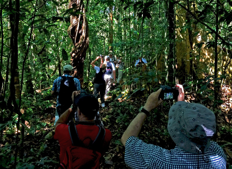 Brésil Voyage Amazon Clipper Traditionnel excursion dans la forêt
