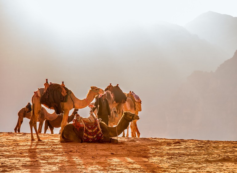 Voyage Jordanie Petra Aman, nebo, Madaba, shobak, Petra, Beidha, wadi rum désert sable