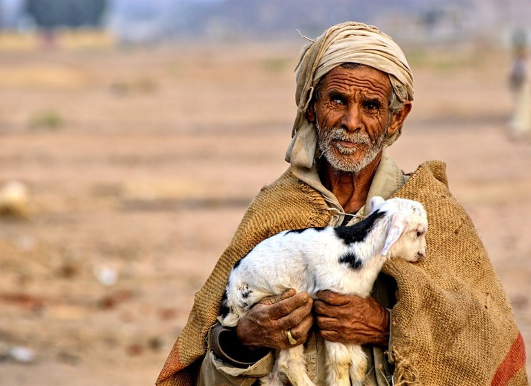 bedouin