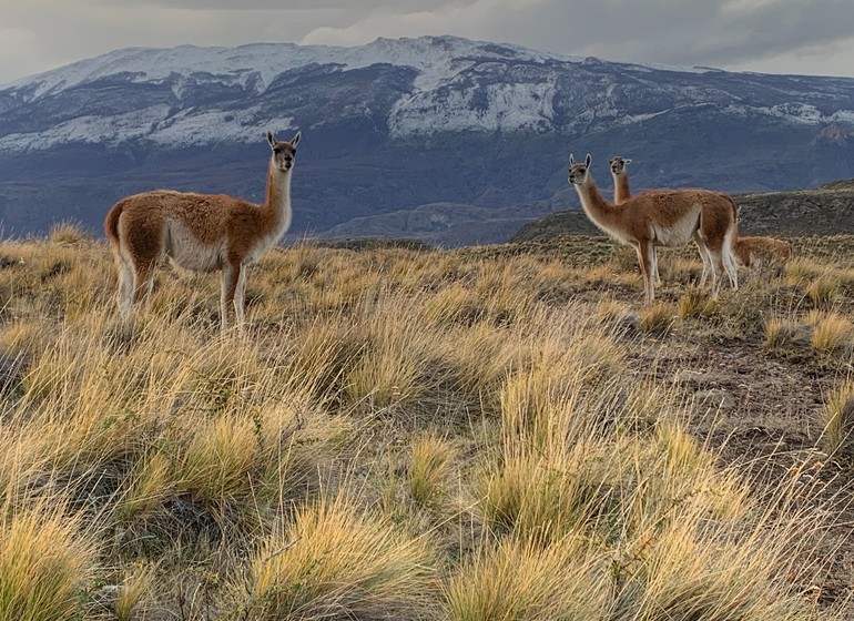 Explora Parc National Patagonia