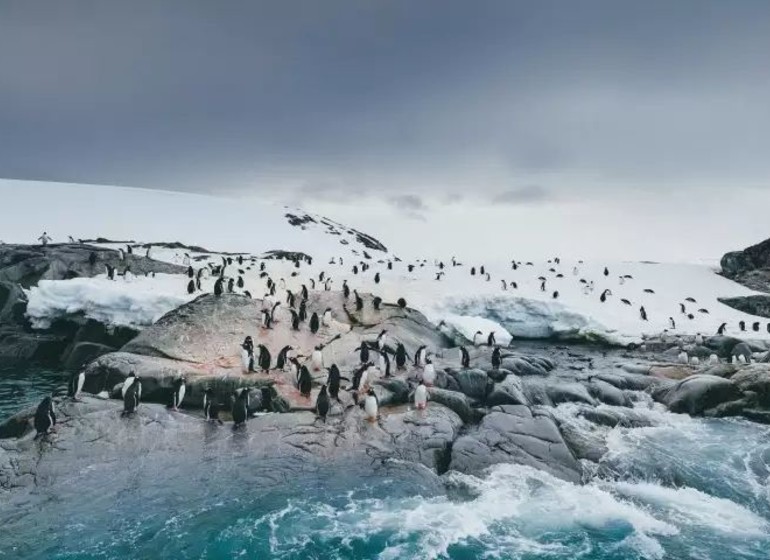 Antarctic Explorer : À la découverte du 7e continent