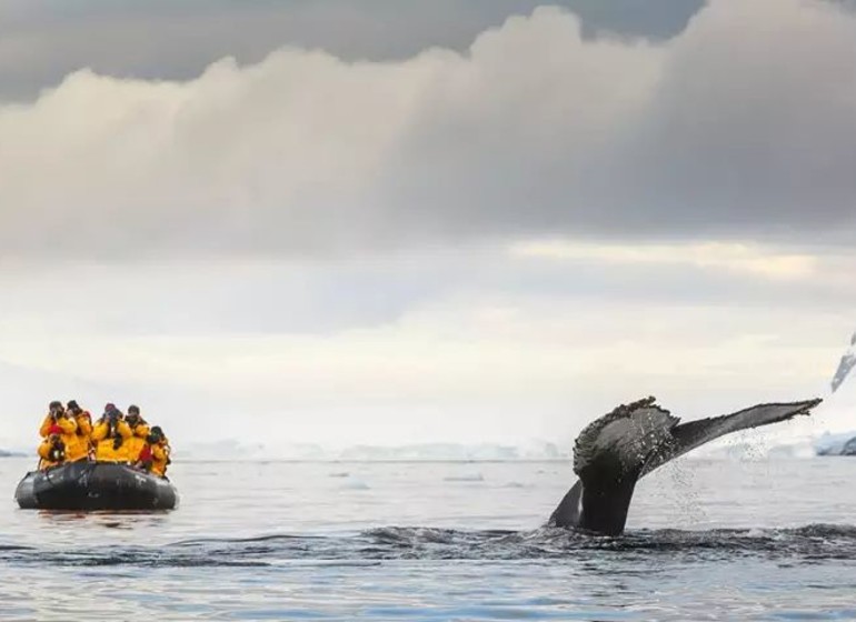 Antarctic Express : traversée du cercle Antarctique