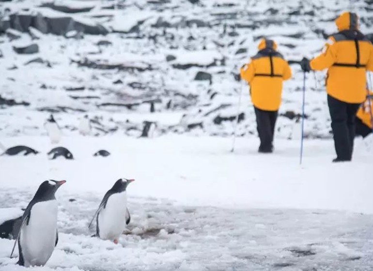 Antarctic Express : traversée du cercle Antarctique