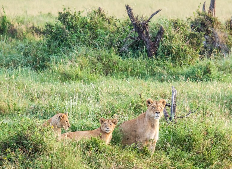 Saadani Safari Lodge - Tanzanie