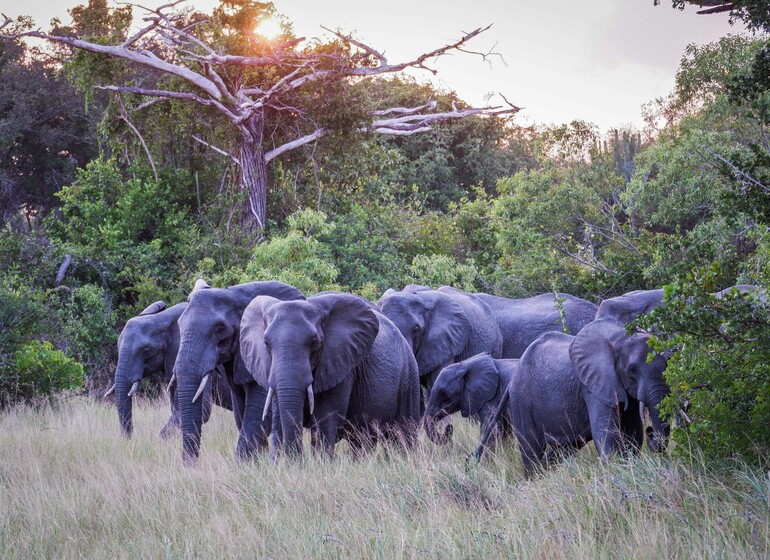 Saadani Safari Lodge - Tanzanie