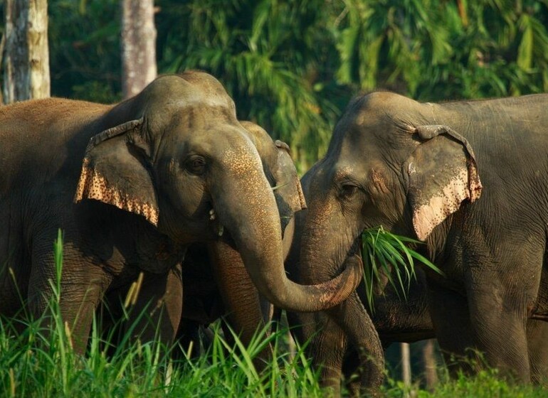 Une Thaïlande en trois étapes majeures