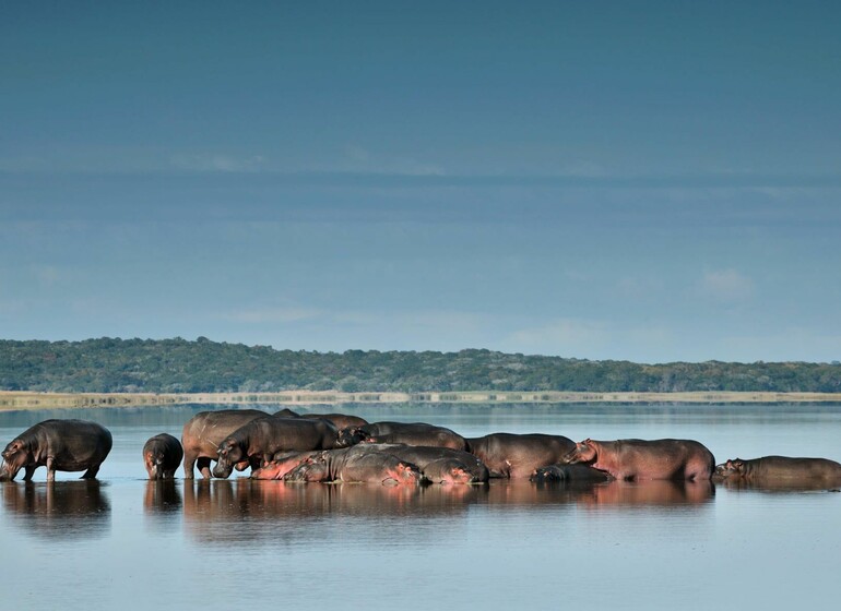 Voyage Mozambique Safari