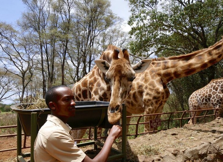 Safari Kenya