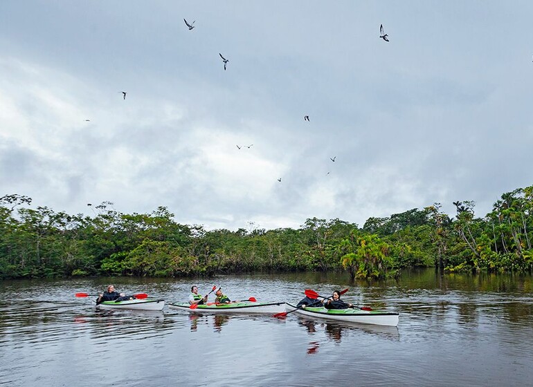 Croisière sur l'Amazone M/V Anakonda