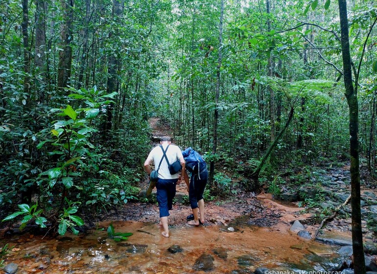 Immersion en Terre Ceylan