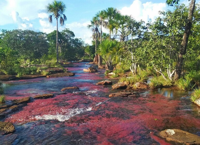 Colombie hors des sentiers battus