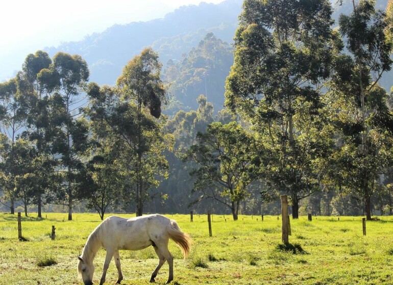 Rencontres et villages colombiens