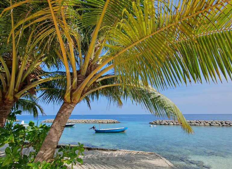 Dhoani Guesthouse Maldives