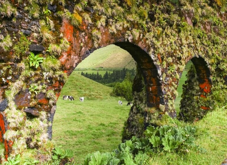 Autotour Visages de Sao Miguel