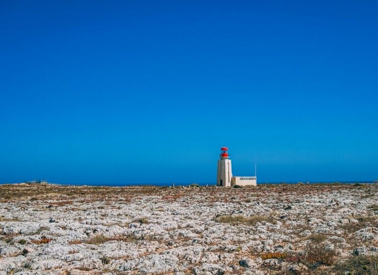 Balade liberté dans le sud