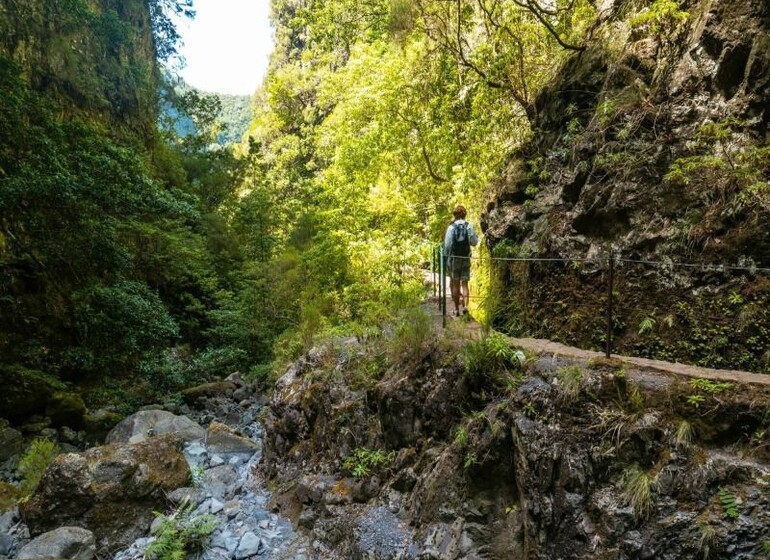 Sur un coup de trek à Madère