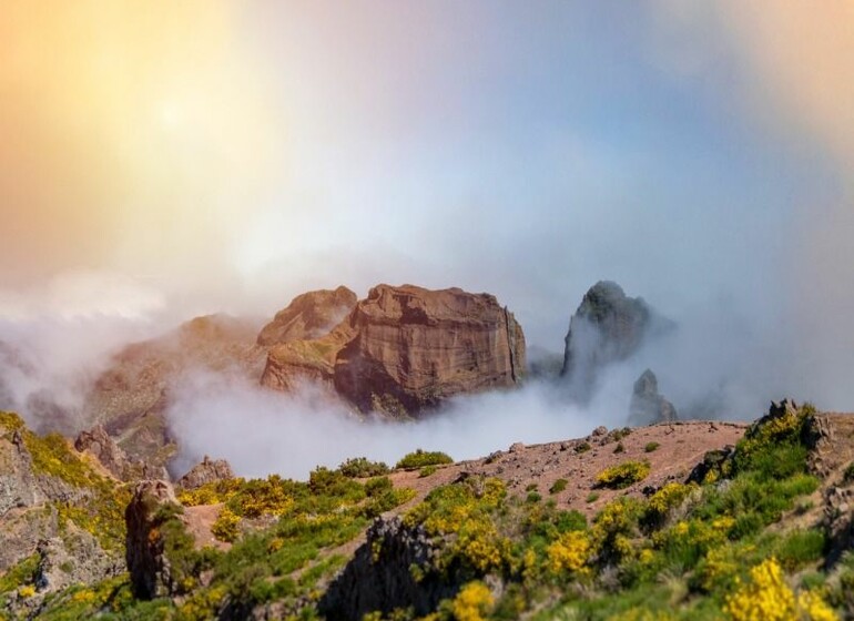 Sur un coup de trek à Madère