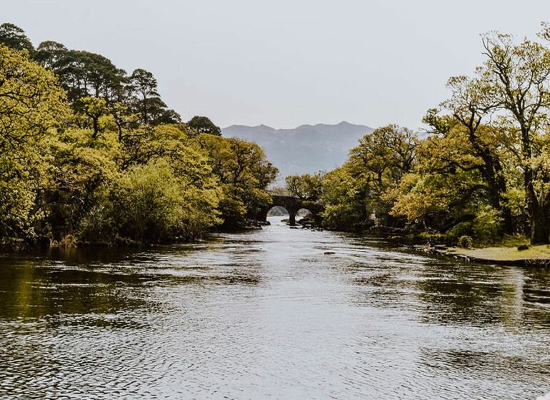 Autotour : Expériences d'Irlande