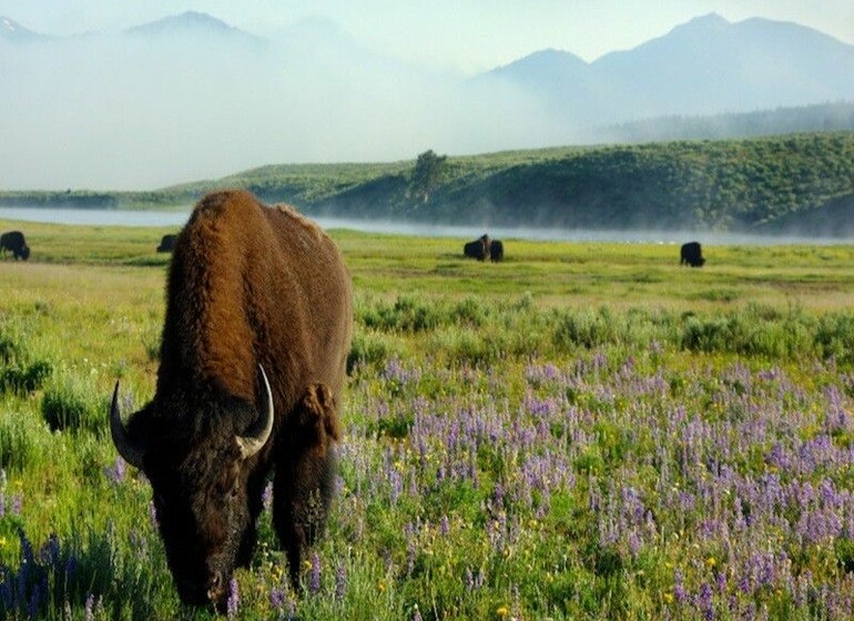 Des Rocheuses aux Plus beaux parcs, Le Meilleur de l'ouest en 18 nuits