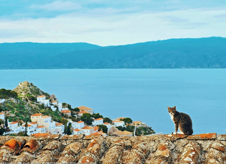 Athènes et Croisière avec caïque traditionnel d’une journée dans 3 îles du Golfe Saronique