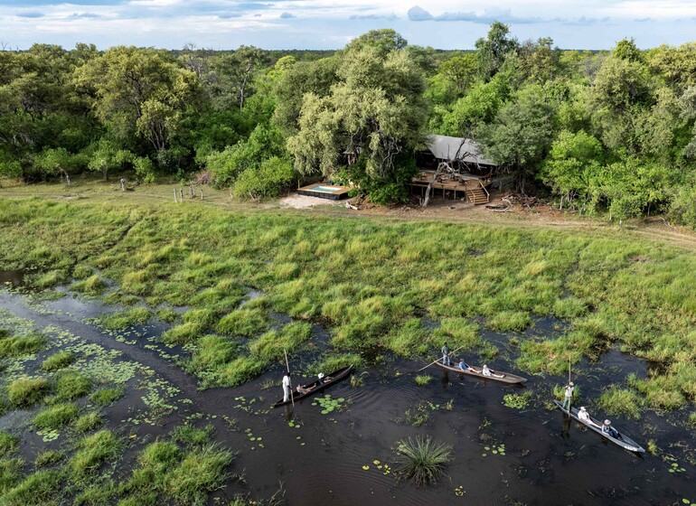voyage botswana