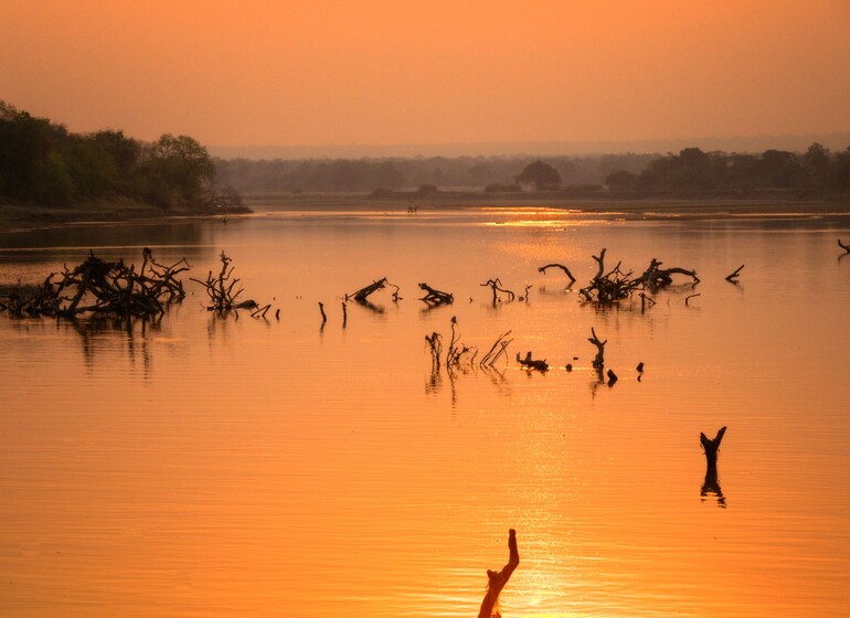 Zambie - vallée de la Luangwa
