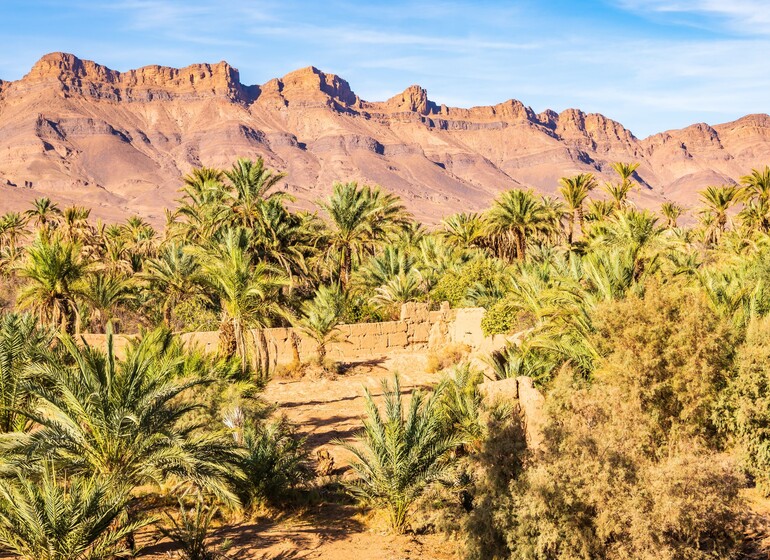 Circuit Kasbahs & Désert