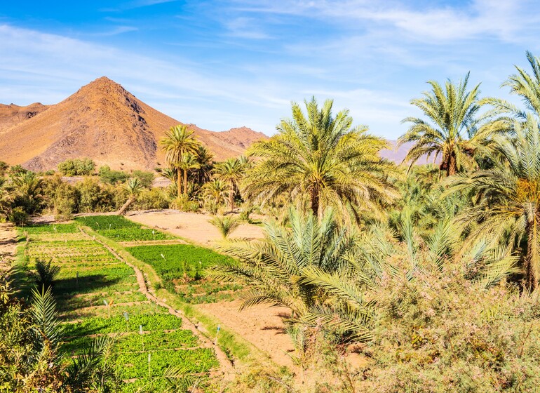 Des Dunes de Chegaga aux Kasbahs de l'Atlas