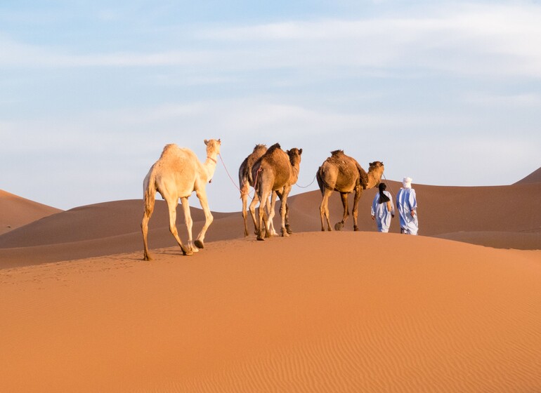 Des Dunes de Chegaga aux Kasbahs de l'Atlas