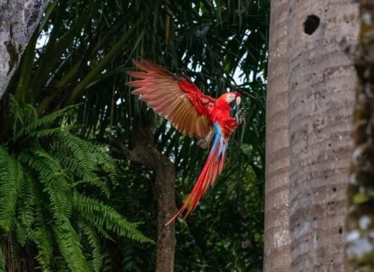 Croisière en voilier Costa Rica et Panama