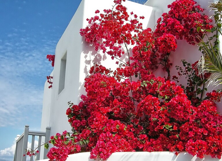 Circuit Grèce Classique et Météores et trois Îles: Mykonos, Paros et Santorin - GROUPE