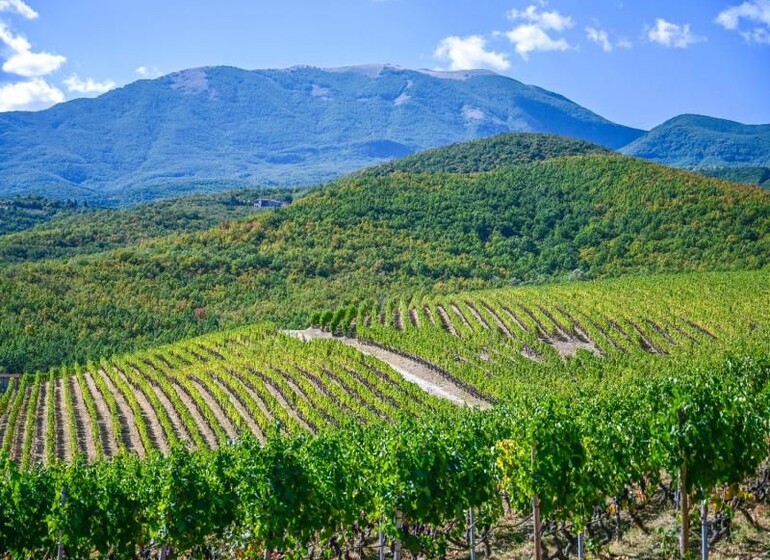 Visages de la Grèce du Nord - GROUPE