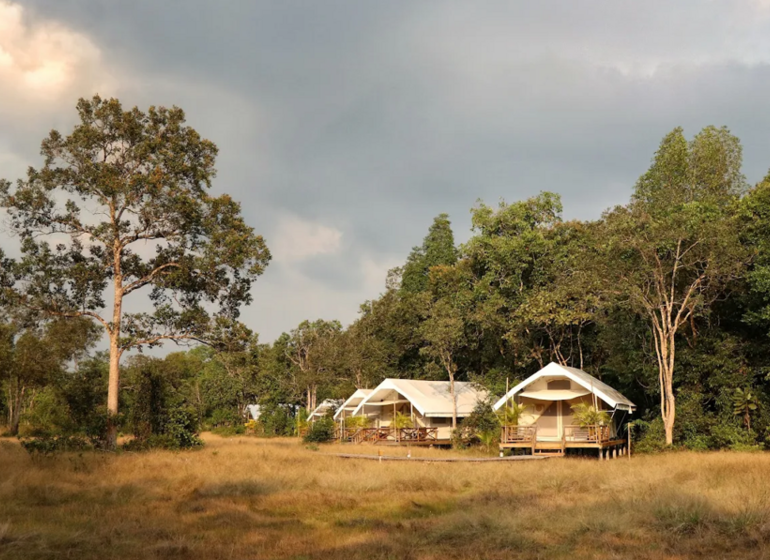 Découverte de la chaîne des Cardamomes
