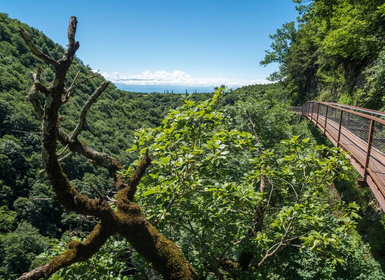 canyon Okatse passerelle suspendue Géorgie  Légende :