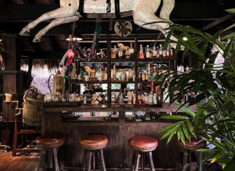 Découverte de Shinta Mani Wild