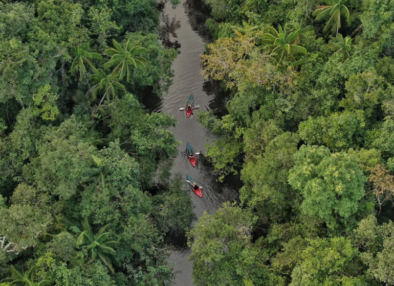 Découverte de la chaîne des Cardamomes